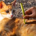 thumbnail image 3 of 3 Sizes Tick Remover Set - Reliable Tick Remover for Dogs, Cats, Horses and People - Tick Remover - Perfect for Any Tick Emergency Kit, 3 of 5
