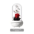 thumbnail image 2 of Eternal Rose Flower Aromaterapia Colorido Led Usb Recargable Rose Plastic Dome Decoración Cateissary HA025183-01, 2 of 5