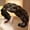 Six-strand Sandwich Light Brown, variant on Elegant Braiding Hair Crown with Non-Slip Bone & Heart-Shaped Center - High Crown Top Braiding Headband for Women, Six-Strand Braided Bun, Braids for Braiding - Hold for Everyday & Formal Events