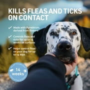 Veterinary Formula Flea & Tick Spray For Dogs - Clinical Care, 8 fl oz