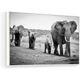 thumbnail image 2 of wall26 Floating Framed Canvas Wall Art for Living Room, Bedroom Black and White Wild Animal Canvas Prints for Home Decoration Ready to Hang - 24x36 inches, 2 of 4