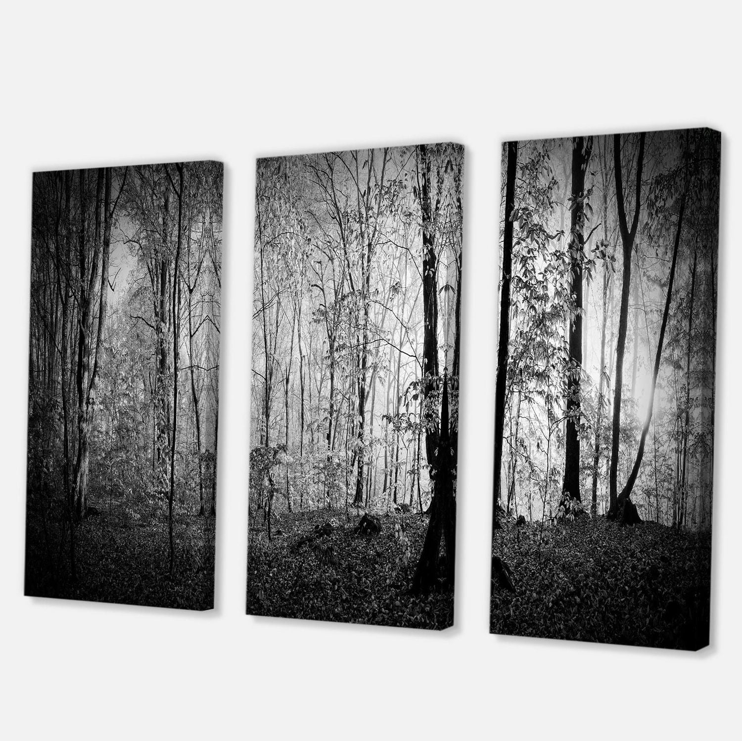 Designart Beautiful Forest Morning Panorama Canvas Wall Art