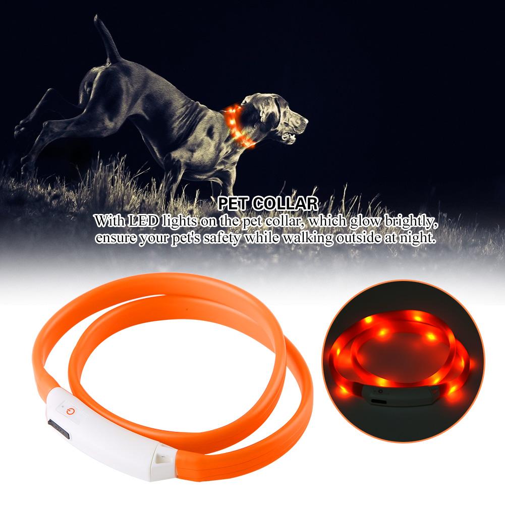 lights for dogs to wear
