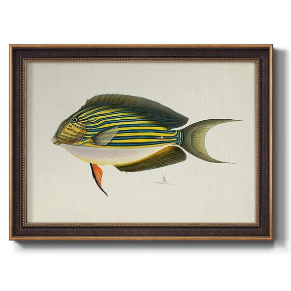 Tropical Fish Collection I Premium Framed Canvas- Ready to Hang