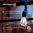 thumbnail image 5 of Brightech Ambience Pro LED Outdoor String Lights 48 ft, Waterproof Shatterproof Dimmable 1W Vintage Edison Bulbs for Patio, Backyard, Porch, 2700K Soft White, 5 of 10