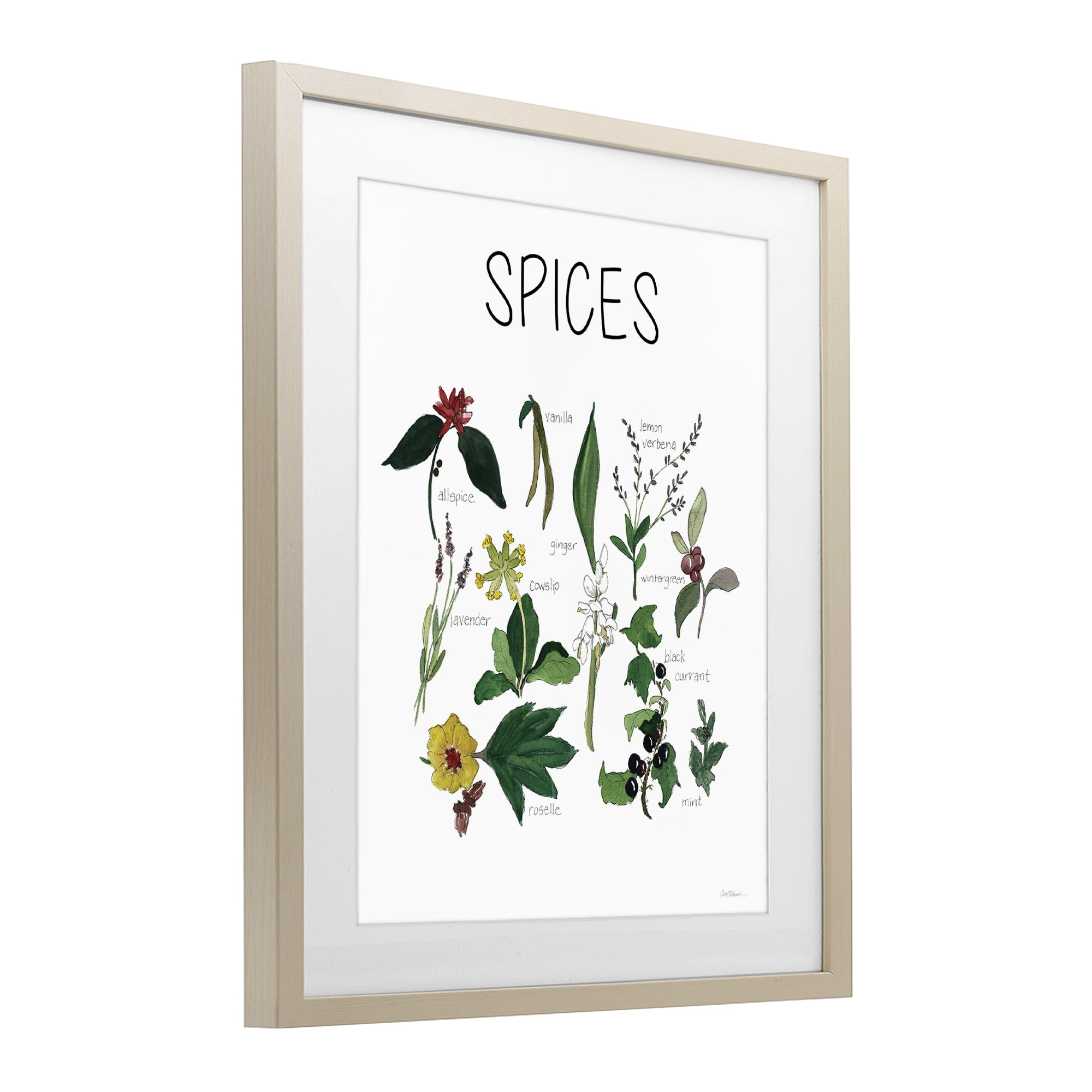 Stupell Industries Spices Identification Chart Birch Framed Print Under Glass, design by Carol Robinson