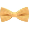 thumbnail image 1 of Bound Small Boy Polka Dot Bow Tie Baby Solid Color Bow Tie For Children Yellow, 1 of 4