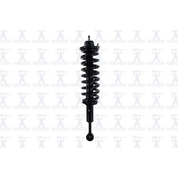 Suspension Strut and Coil Spring Assembly