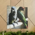 thumbnail image 6 of Senegal Parrot Still Life - Canvas, 6 of 10