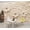 Color 2, variant on Wallpaper Elegant White Lilies Soft Cream Tones Delicate Petals Peel and Stick Wall Murals 100"H x 144"W Removable PVC Wall Paper Self-Adhesive Wall Paintings Art Decor for Bedroom Living Room