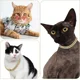 thumbnail image 4 of Collar Para Perro, Gato, Cadena Cubana, Con Diamantes, Caden, 4 of 8