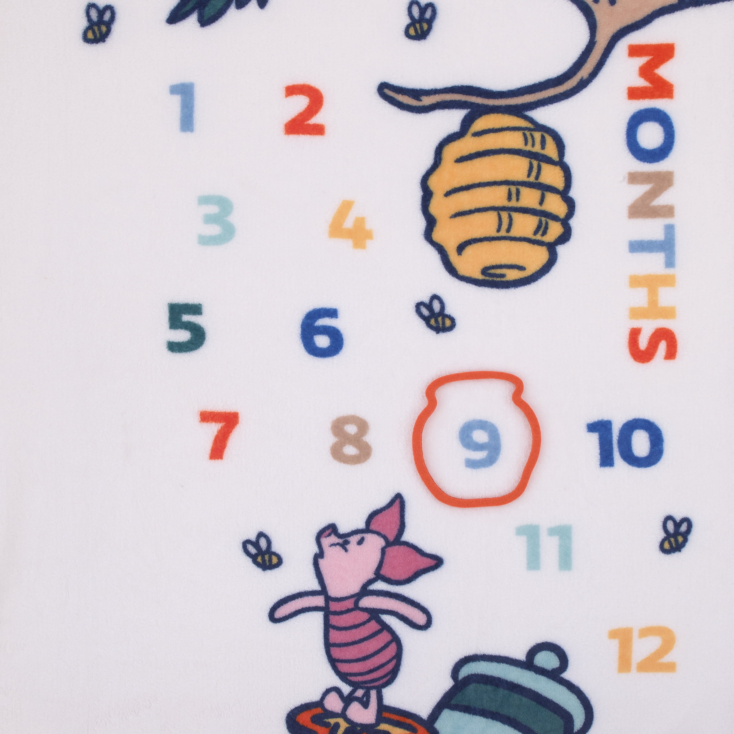 Disney Winnie the Pooh Photo Op Milestone Baby Blanket