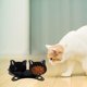 thumbnail image 5 of Elevated Cat Bowls,Double Cat Dog Bowls,15°Tilted Raised Cat Bowls,Cat Food Bowls Protective Cat Feeder Bowl for and Small Dogs, 5 of 5