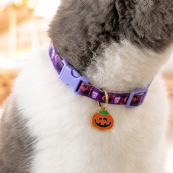 Halloween Cat Collar with Purple Pumpkin Charm, for Small Dogs and Cats, Pet Holiday Accessory