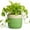 Green, variant on Ordivic 6 inch Black Ceramic Planter with Drainage Hole & Plug, Round Flower Pot for Succulents & Cactus, Indoor Outdoor for Home Office Desk, Housewarming Gift