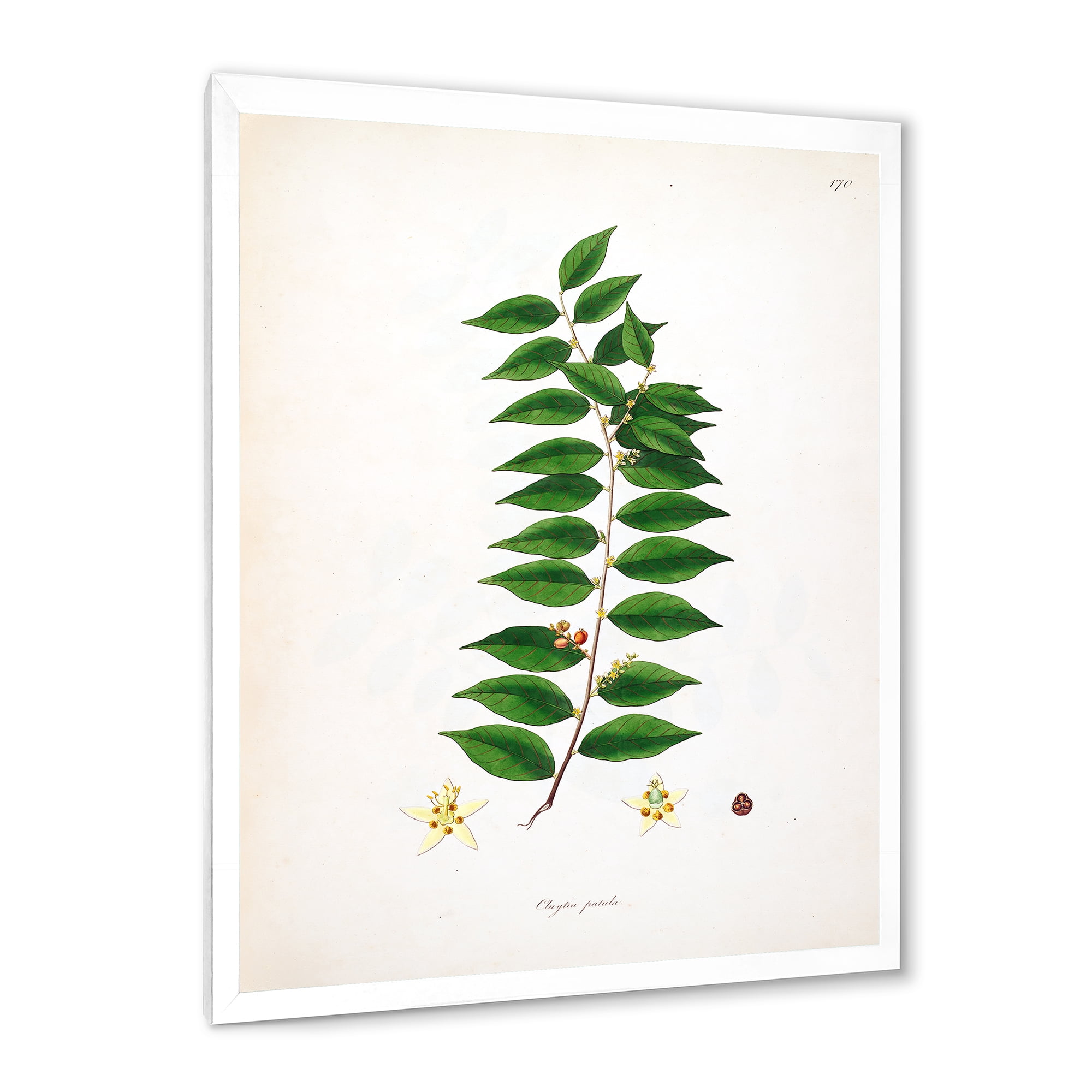 Designart 'Ancient London Plants VI' Farmhouse Framed Art Print