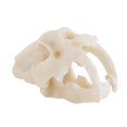 thumbnail image 1 of Small Resin Animal Skull Model Aquarium Fish Tank Ornament Terrarium Decorative Craft, 1 of 10