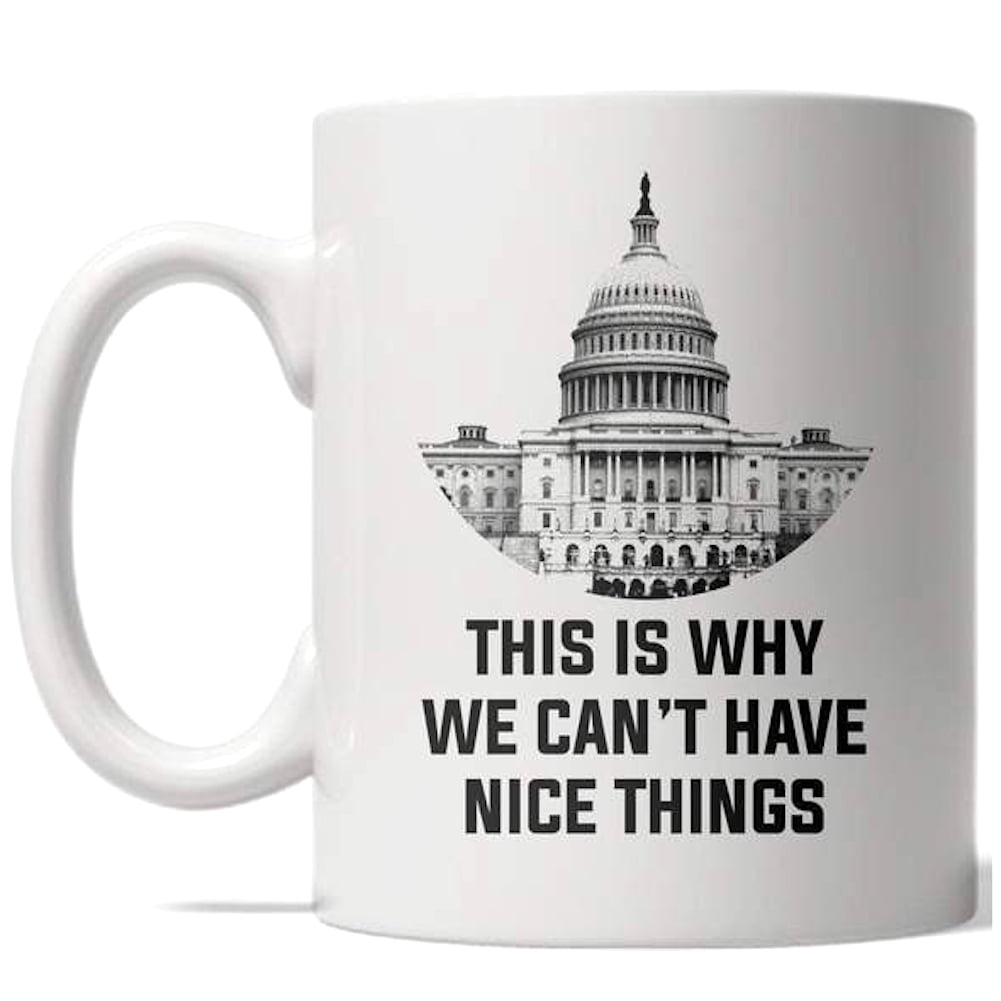 This Is Why We Cant Have Nice Things Mug Funny US Politics Coffee Cup