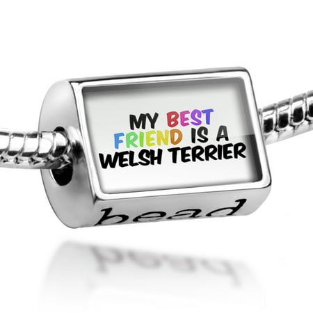 Bead My best Friend a Welsh Terrier Dog from Wales Charm Fits All European