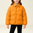 thumbnail image 4 of FAIWAD Kids Quilted Puffer Jacket Reversible Button down Collared Coat Boys Girls Soft Winter Outerwear, 4 of 9