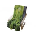 thumbnail image 4 of Plant Soft Flannel Fleece Throw Blanket, Green Leaves with Sun Open Air Sunny Days Spring Time Happy Vibes Environment, Cozy Plush for Indoor and Outdoor Use, 60" x 80", Apple Green, by Ambesonne, 4 of 6