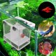 thumbnail image 4 of Caja De Desove De 2 Piezas, Red De Aislamiento para Acuarios, Incubadora De Peces De Acuario, Adecuada para Acuarios, Aislar Plántulas Y Apoyar La Incubación Y La Crianza, 4 of 4