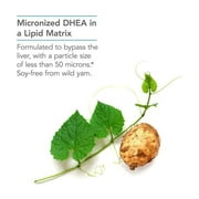 Nutricology Dhea 10 Mg أقراص إطلاق مستدامة ، 60 Count