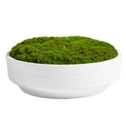 Better Homes & Gardens 8 Faux Moss in Ceramic Bowl