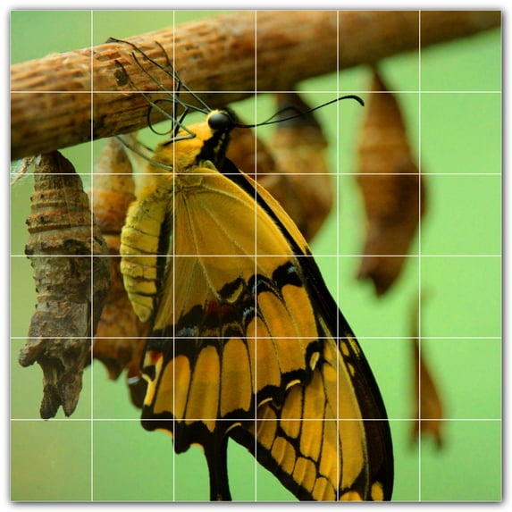Picture-Tiles.com: Butterfly Ceramic Tile Wall Mural WAL500296-66S. 25.5"W x 25.5"H using (36) 4.25" x 4.25" Ceramic Tiles-Satin Finish