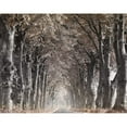 thumbnail image 3 of Anonymous 14x12 Black Modern Framed Museum Art Print Titled - Down The Country Road, 3 of 5