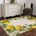 thumbnail image 3 of Summer Lemons Area Rugs 2.7'x5', Washable Small Throw Rugs for Kitchen Bedroom, Fruits White Flowers Vintage Rustic Indoor Outdoor Rug Non-Slip Low Pile Carpet Runner Reversible Floor Mats, 3 of 8