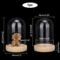 thumbnail image 3 of DIY Glass Cloche Bell Jar Display Dome Case with Wood Base Glass Decoration Bottles for Plants Flower Display Clay Succulents Storage Home Christmas Party Favor Decoration 3.5x2.9 inch, 3 of 8