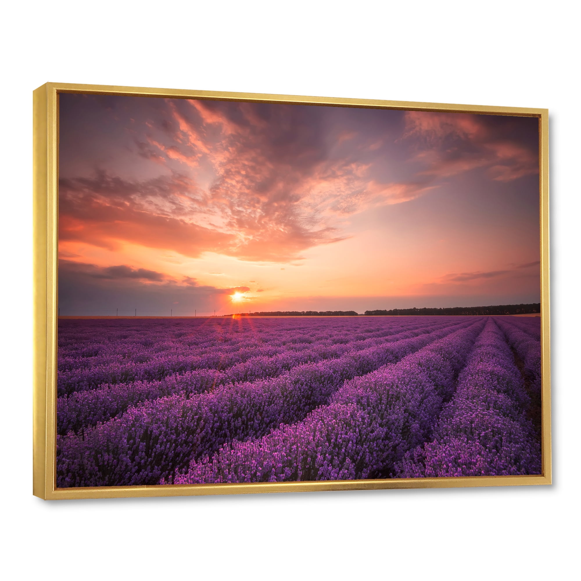 Designart 'Dramatic Clouds and Sunrise Over Lavender Field XII' Farmhouse Framed Canvas Wall Art Print
