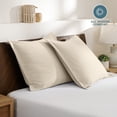 thumbnail image 3 of Bare Home Pillow Sham Set - Premium 1800 Collection - Double Brushed - Euro, Sand, 3 of 8