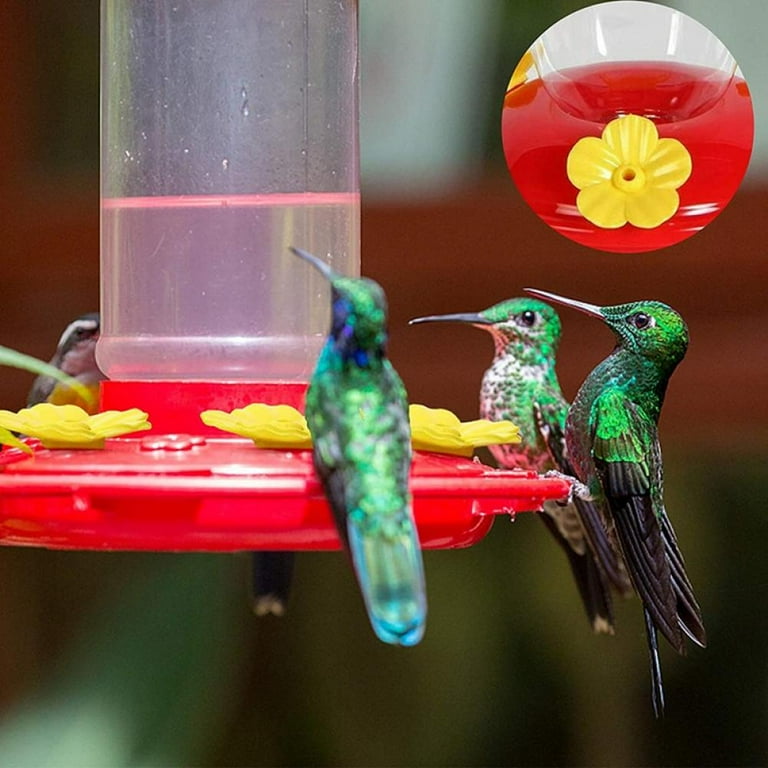 Cleaning 2024 hummingbird feeder