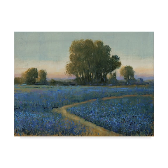 Trademark Fine Art 'Blue Bonnet Field I' Canvas Art by Tim OToole