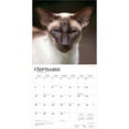 thumbnail image 4 of Siamese Cats | 2026 12x24" (Hanging) Wall Calendar | Plastic-Free | BrownTrout, 4 of 9