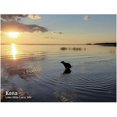 thumbnail image 1 of Pooping Dogs Desk Calendar 2023-8.26 X8.26 Wall Calendar - Wall Calendar, Dog Pooping Calendar January 2023 - December 2023 Gag Gifts For Friends, 1 of 5