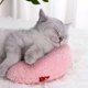 thumbnail image 4 of Almohada para gatos Almohada para el cuello del perro Almohada suave en forma de U para mascotas Almohada monoplaza monada Adecuada para cachorros Accesorios para mejorar el sueño de las mascotas, 4 of 7