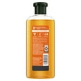 thumbnail image 3 of Herbal Essences Body Envy Shampoo & Body Wash, Volume Shampoo, 11.7 fl oz, 3 of 7