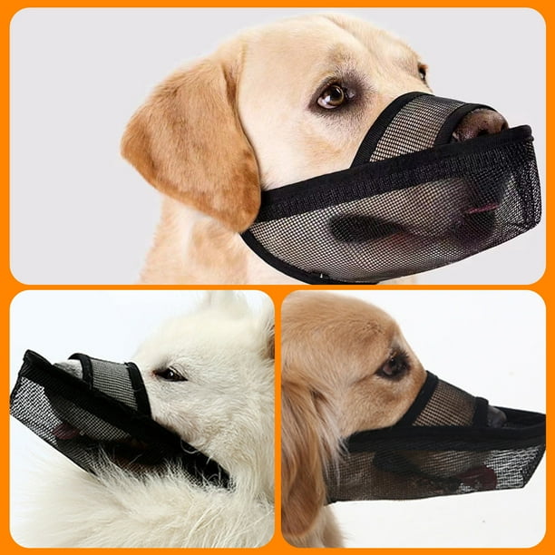 Dog muzzle hotsell walmart canada