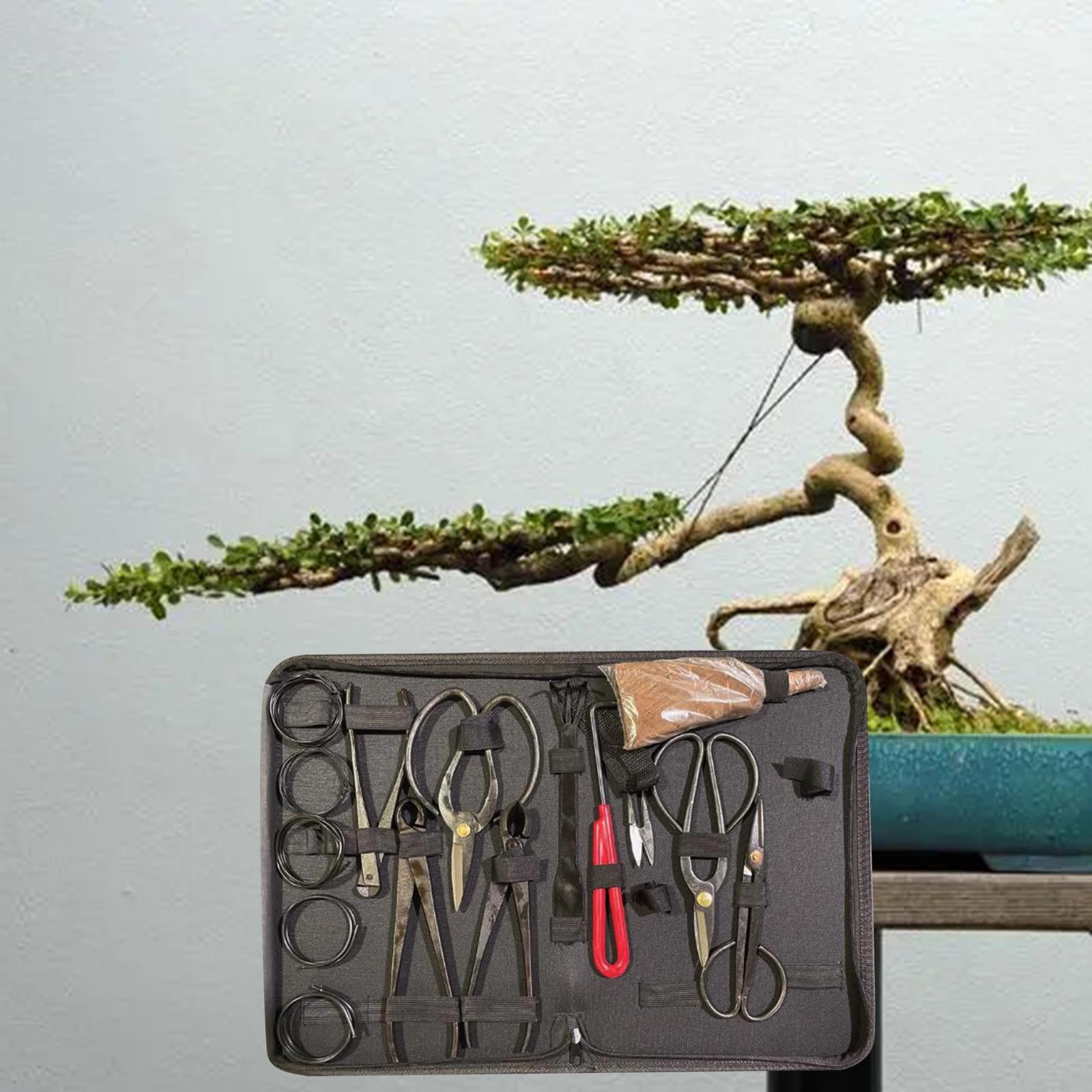 Pince à Bonsaï En Acier Inoxydable - Outil Modélisation Pratique Et Durable Pour Jardinage