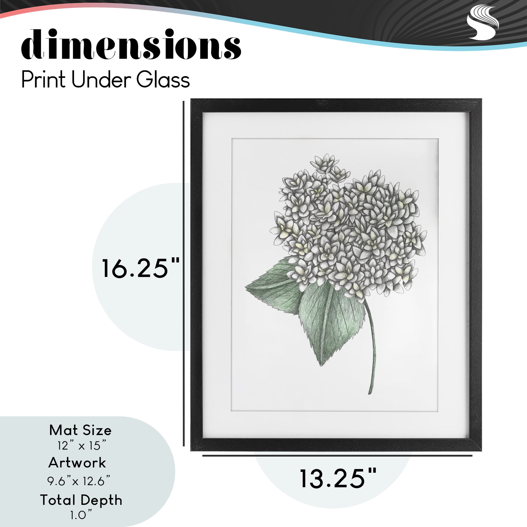 White Hydrangea Sketch Blossom Black Framed Print Under Glass, design by Cecilia Battaini