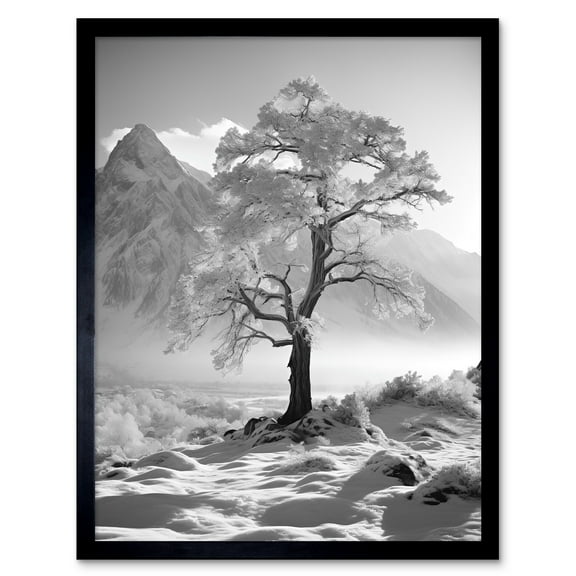 Frozen Tree in Snowy Mountain Landscape Bright Black and White Photograph Winter Sunrise Crisp Morning Light Art Print Framed Poster Wall Decor 12x16 inch