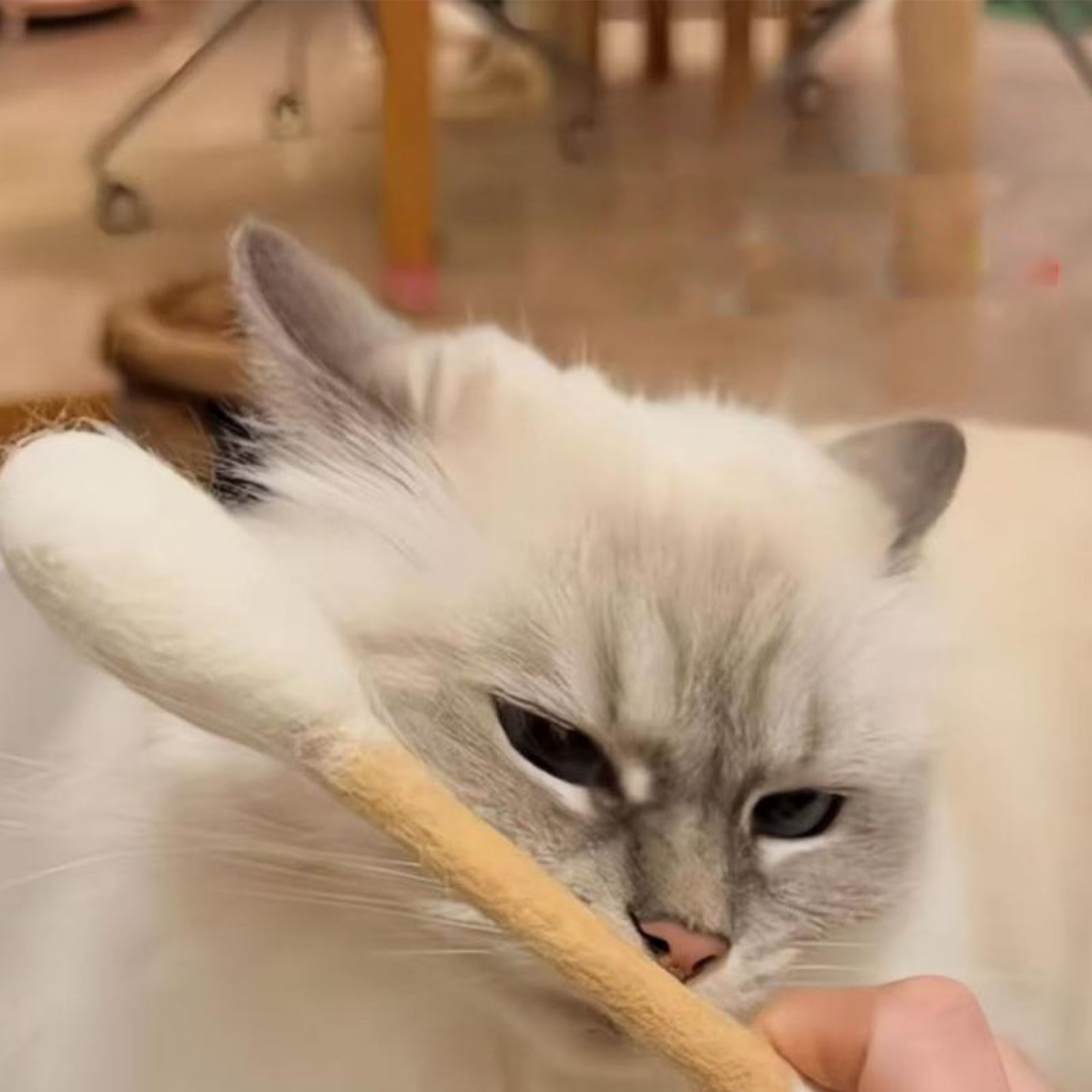 30CM Swabs Large Size Cat Toys with Catnip, Interactive Cotton Cat Toy Chew Sticks for Indoor Relieves Anxiety (6PC)