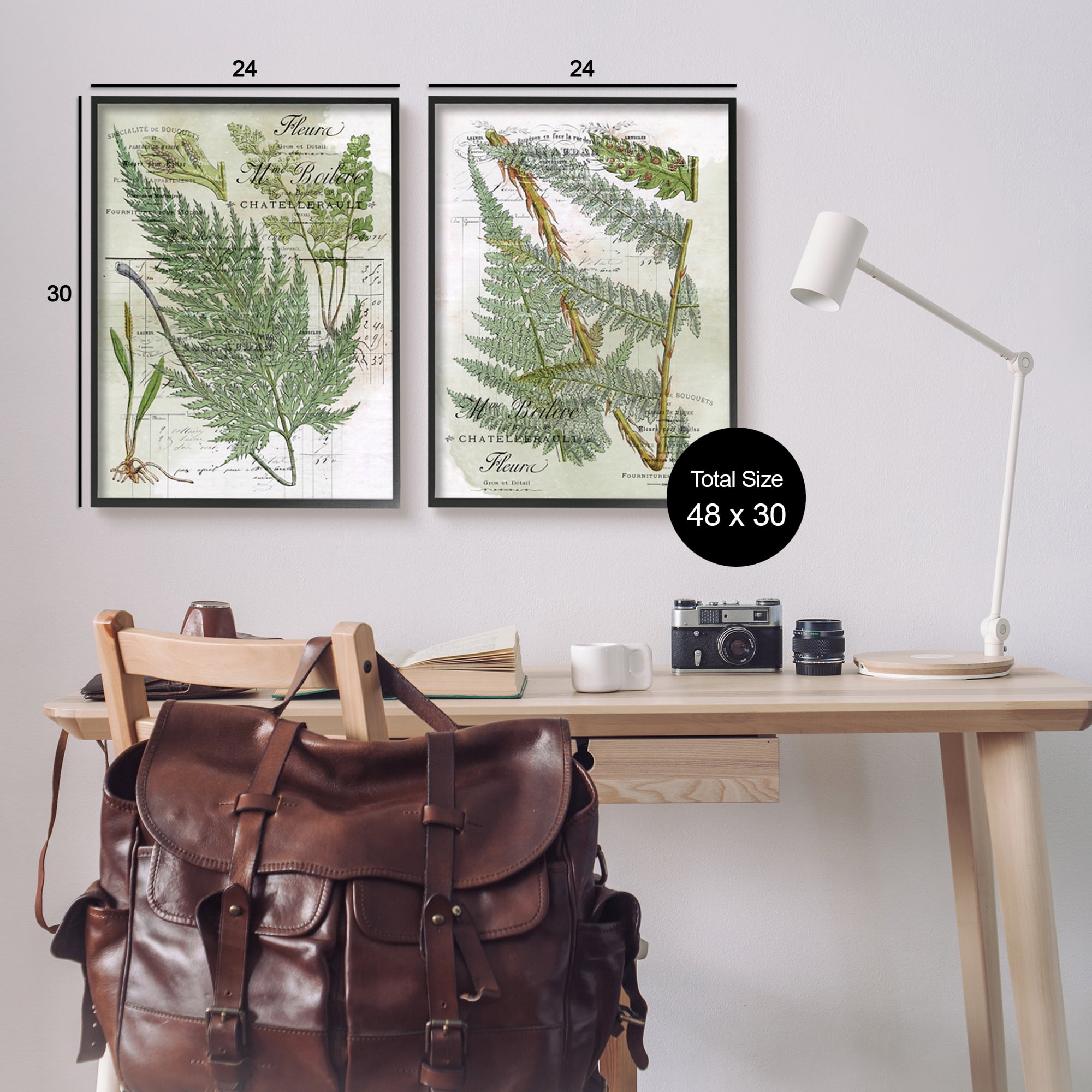 Stupell Woodland Fern Botanical Latin Study Botanical & Floral Painting Black Framed Art Print Wall Art, Set of 2