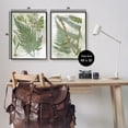thumbnail image 3 of Stupell Woodland Fern Botanical Latin Study Botanical & Floral Painting Black Framed Art Print Wall Art, Set of 2, 3 of 8