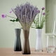 thumbnail image 3 of Bearachild Paquetes de lavanda seca natural, lavandas ligeras, hermoso ramo de flores, arreglo de flores, accesorio para fiesta en casa Decoración del hogar Lavanda seca 50 gramos Bearachild  HA084088-01, 3 of 6
