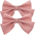 thumbnail image 1 of Miangastore 2Pcs Bow Shoe Clips Removable Shoe Buckles Shoe Charms Shoes Accessories, 1 of 8