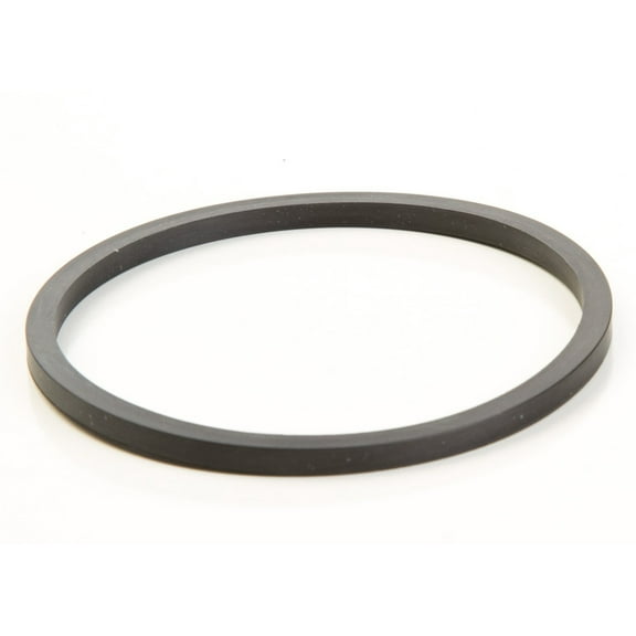 Briggs & Stratton O-Ring Seal | 796222